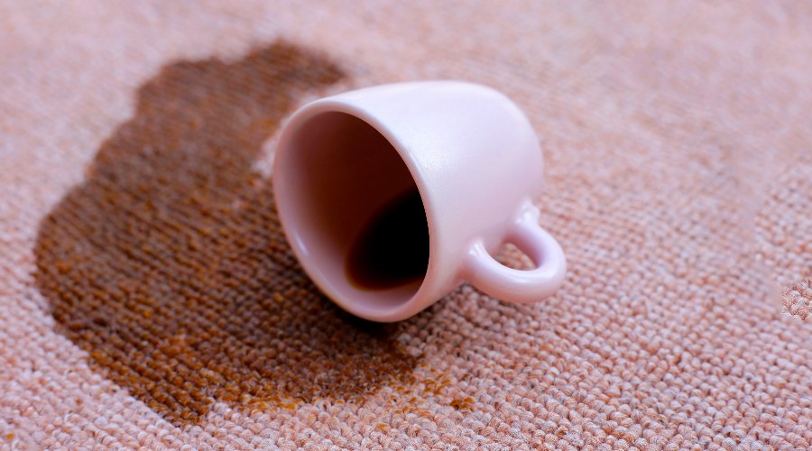 How To Remove Stain From Rug find out here in 8 simple steps