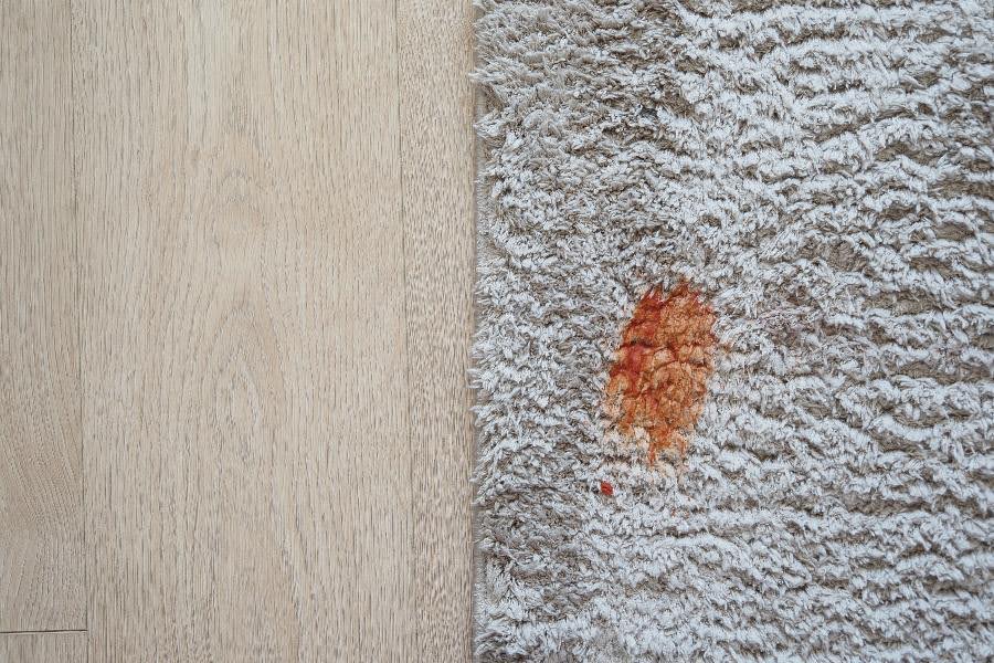 how to get blood out of a rug