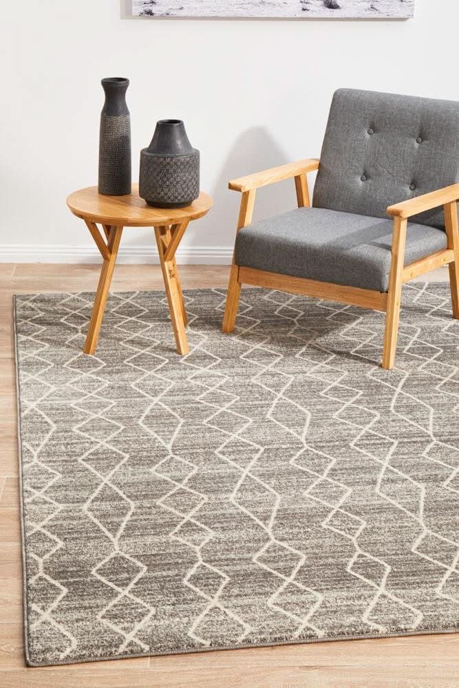 ENVI Remy Silver Transitional Rug