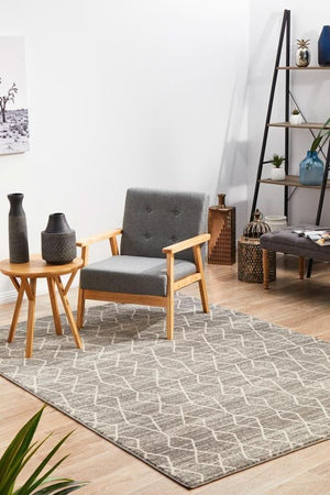 ENVI Remy Silver Transitional Rug