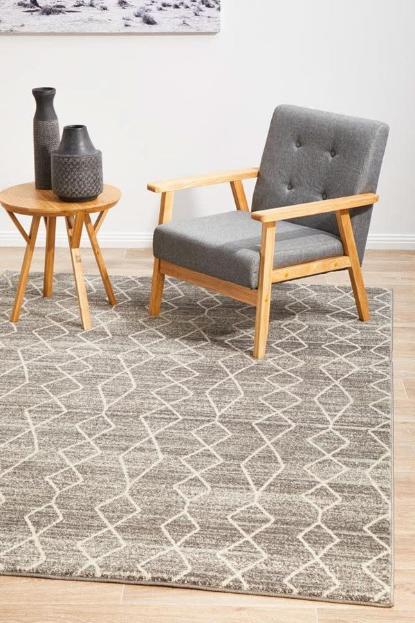 ENVI Remy Silver Transitional Rug