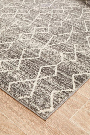 ENVI Remy Silver Transitional Rug