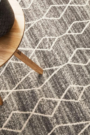 ENVI Remy Silver Transitional Rug