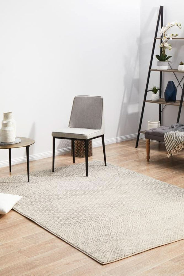 ENVI Diamond Grey Transitional Rug