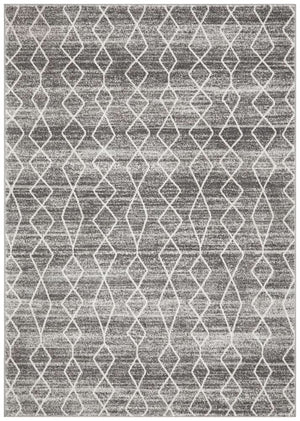 ENVI Remy Silver Transitional Rug