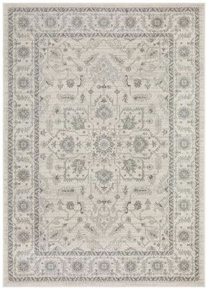 ENVI Winter White Transitional Rug