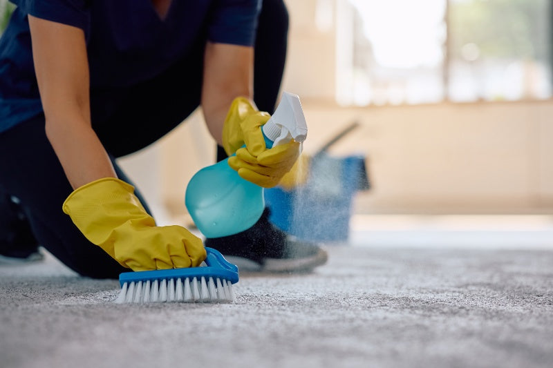 woman applying fabric protector for their jute rug