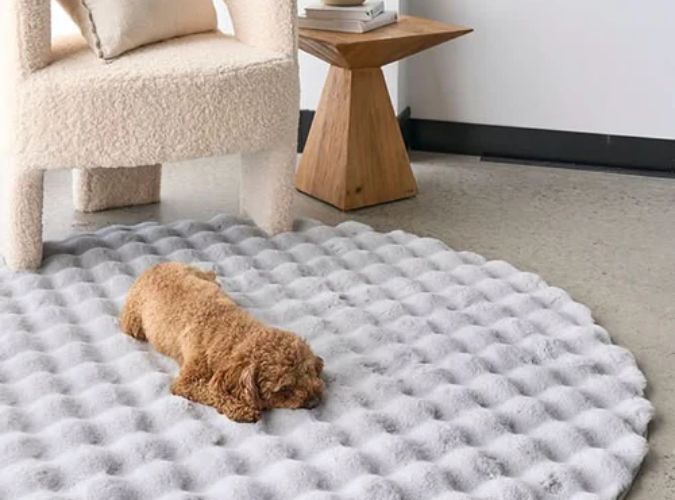 Fluffy Round Rug for Cozy Corners