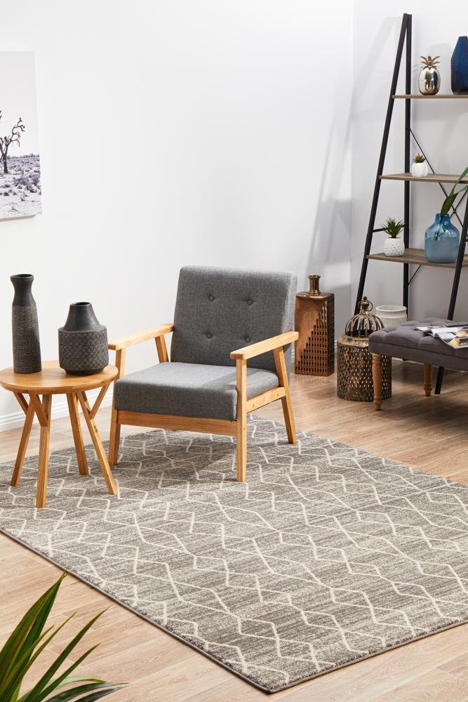 ENVI Remy Silver Transitional Rug